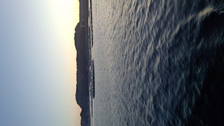 エギンガー＆ヤエン氏だらけ！！