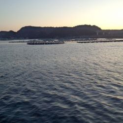 エギンガー＆ヤエン氏だらけ！！