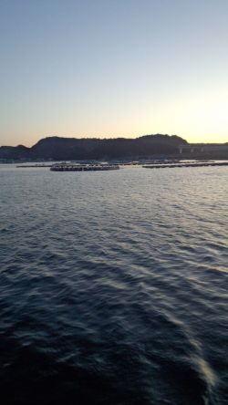 エギンガー＆ヤエン氏だらけ！！