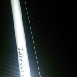 夜中の浮き釣り