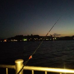 お願いだから・・・