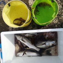 シーバス3投3連続HIT