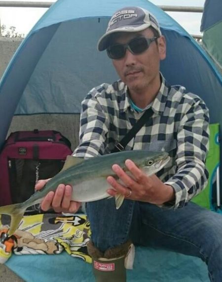 ノマセでハマチが釣れました♪