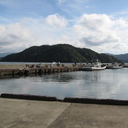 サビキでのんびり釣行