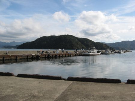 サビキでのんびり釣行