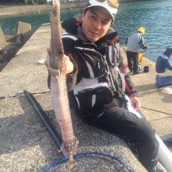 夜中1:30に1キロ  アオリイカ