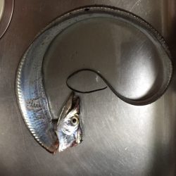 周囲もそこそこ