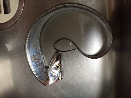 周囲もそこそこ