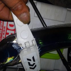 今年初タッチー