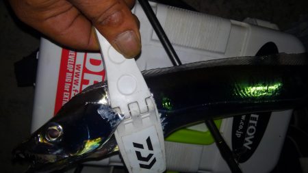 今年初タッチー