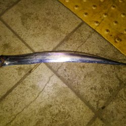 タチウオ釣行　最終