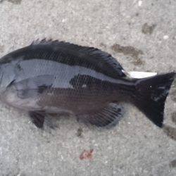 いい場所入れたのに！