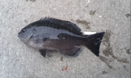 いい場所入れたのに！