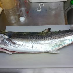 早起きのかいあり！