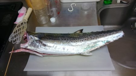 早起きのかいあり！