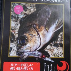 かぶと山公園にて