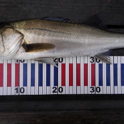 久美浜公園にて