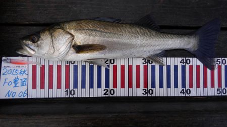 久美浜公園にて