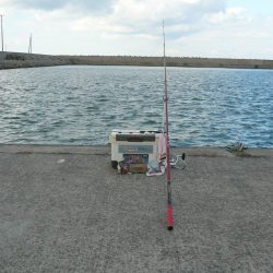 強風の鳥飼釣行