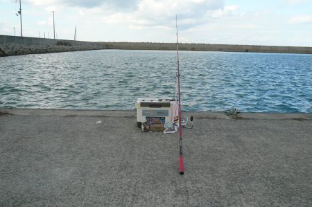 強風の鳥飼釣行