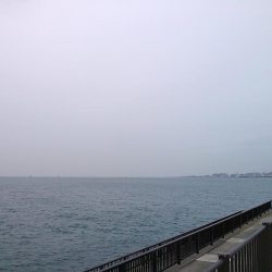 グレ4枚ゲット！！