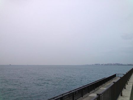 グレ4枚ゲット！！