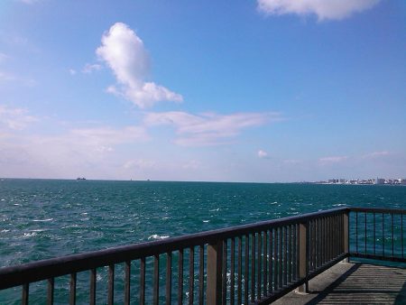 サヨリ入れ食い！