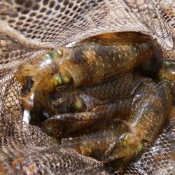 久々の平日釣行