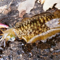 いいアタリでした！！