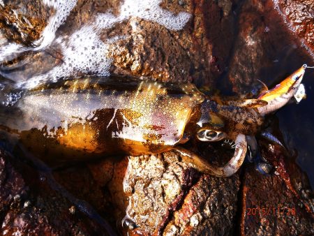いいアタリでした！！　うねり編