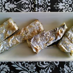 大津川尻にて朝太刀魚