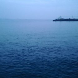 大津川河口 朝太刀魚