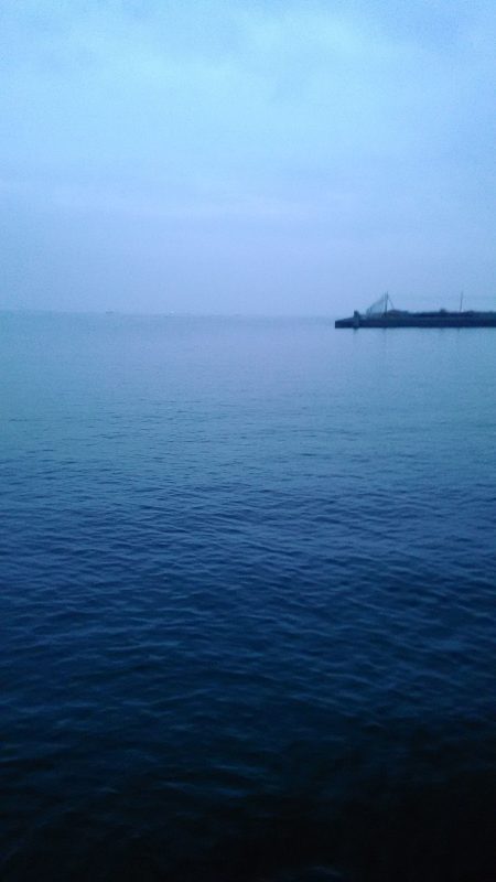 大津川河口 朝太刀魚