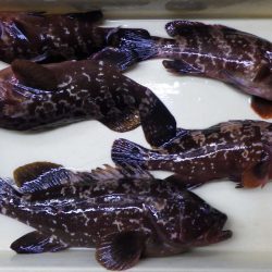 あと少し‥…………