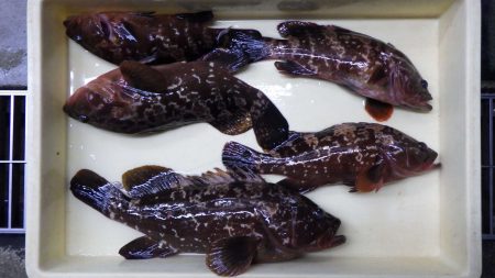 あと少し‥…………