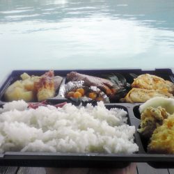 お魚、求めて海へ出発