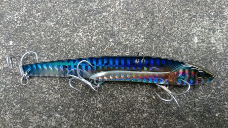 ジグでサワラ！