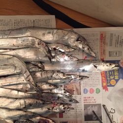 少しサイズアップ？