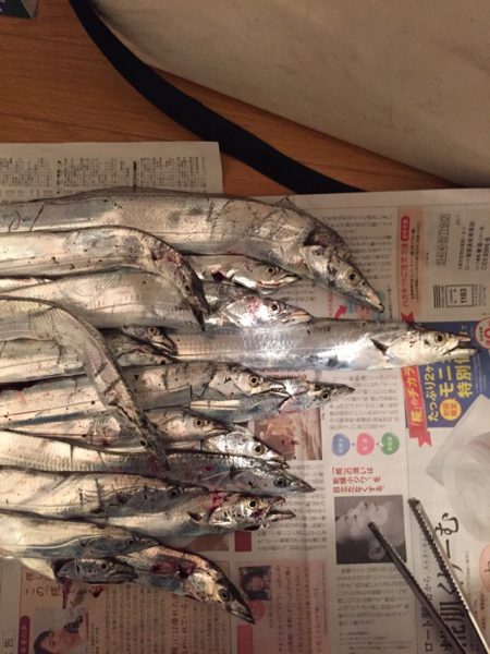 少しサイズアップ？