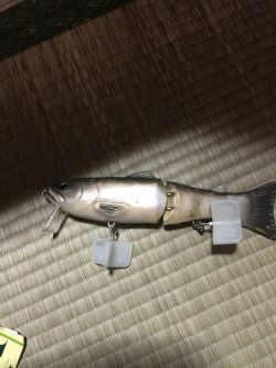 サイレントフィッシング笑