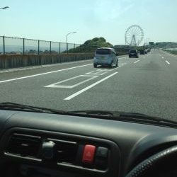 コウイカです‼︎