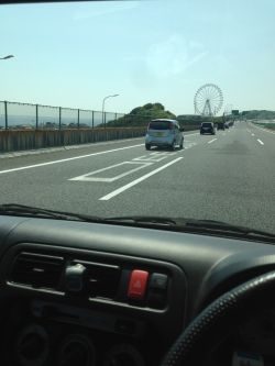 コウイカです‼︎