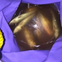 アジアジアジ〜太刀魚はいったい