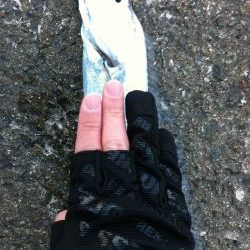 爆風の中の太刀魚ゲーム‼︎