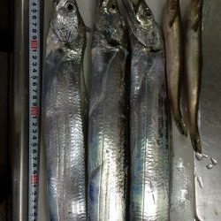 太刀魚ワインド