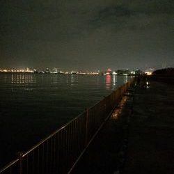 釣り人、少ない