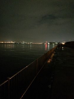 釣り人、少ない