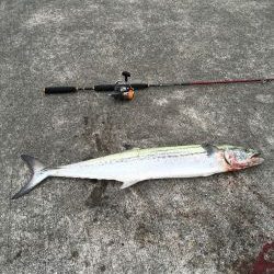 ナブラに感謝(^.^)