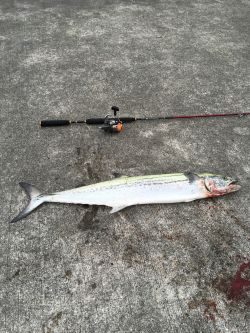 ナブラに感謝(^.^)