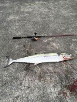 ナブラに感謝(^.^)